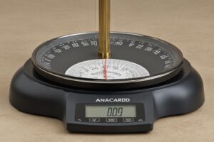 ¿Cuánto pesa un anacardo? Descubre su peso real.